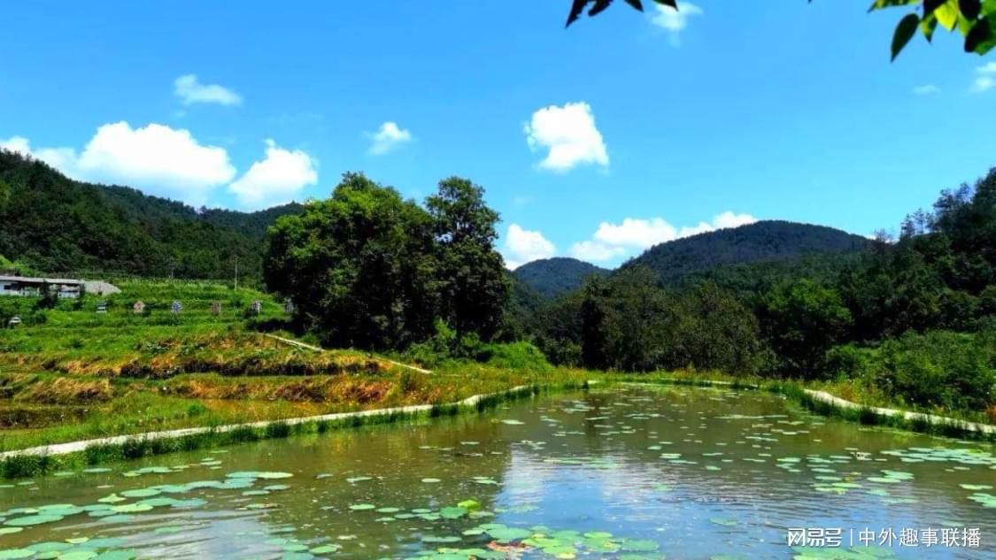 快手小时业务自助下单平：快手高效下单平台新渠道自助服务体验_ks涨赞ks