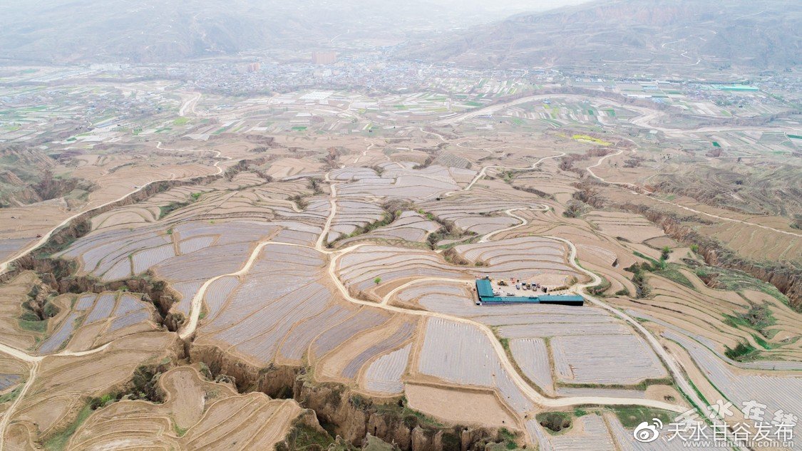 dy业务自助下单